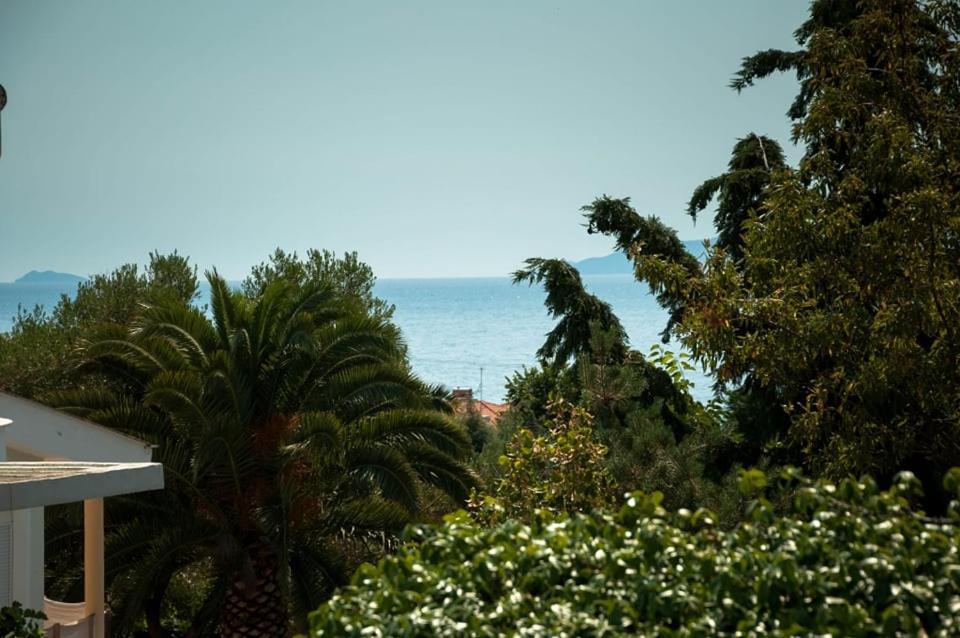 Villa Calypso PalaiónTsiflíkion Buitenkant foto